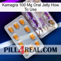 Kamagra 100 Mg Oral Jelly How To Use new12